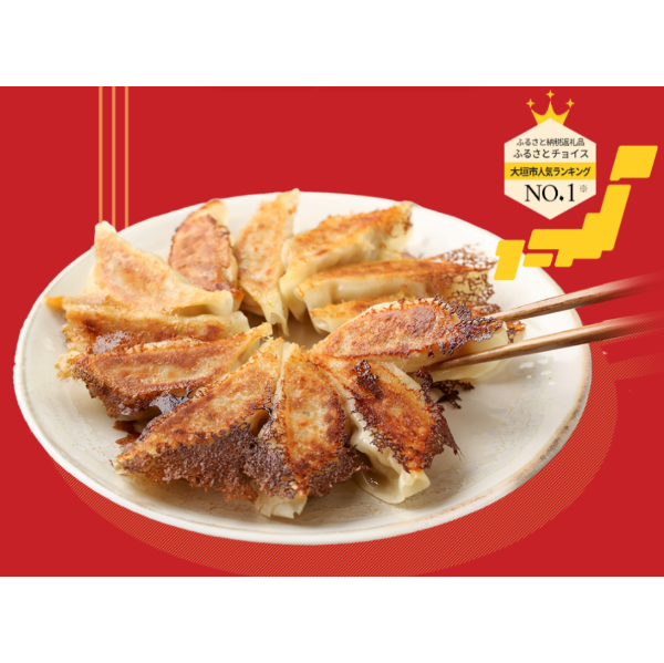 新家ぎょうざ　創作ぎょうざセット